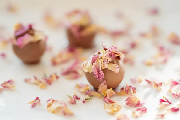 פיבר סלאוטס קזינו אפליקציית Android/iOS